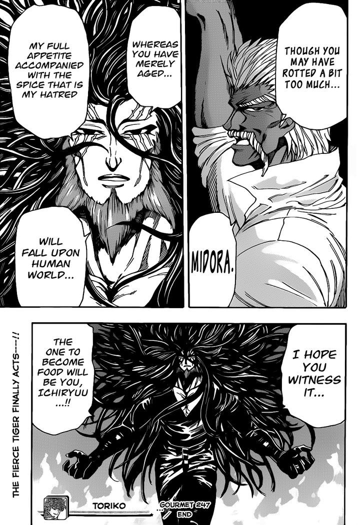 Toriko - Chapter 247 : The Clash Of Two Mighty Rivals, The Dragon And The Tiger!!