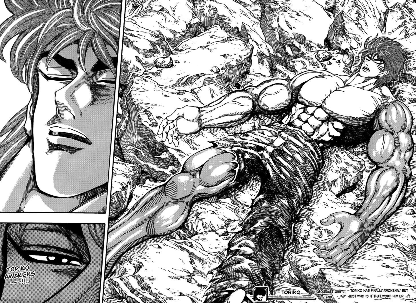 Toriko - Chapter 255 : Awakening!!