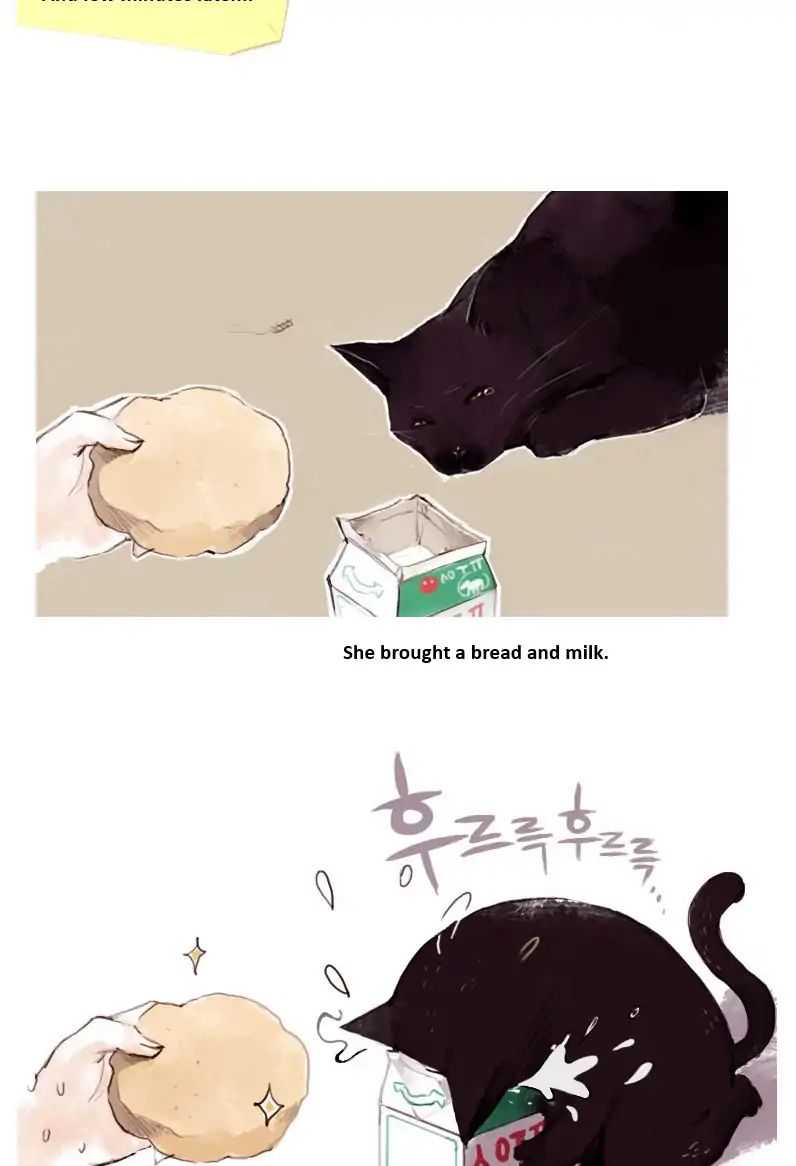 Cat Couple - Chapter 1