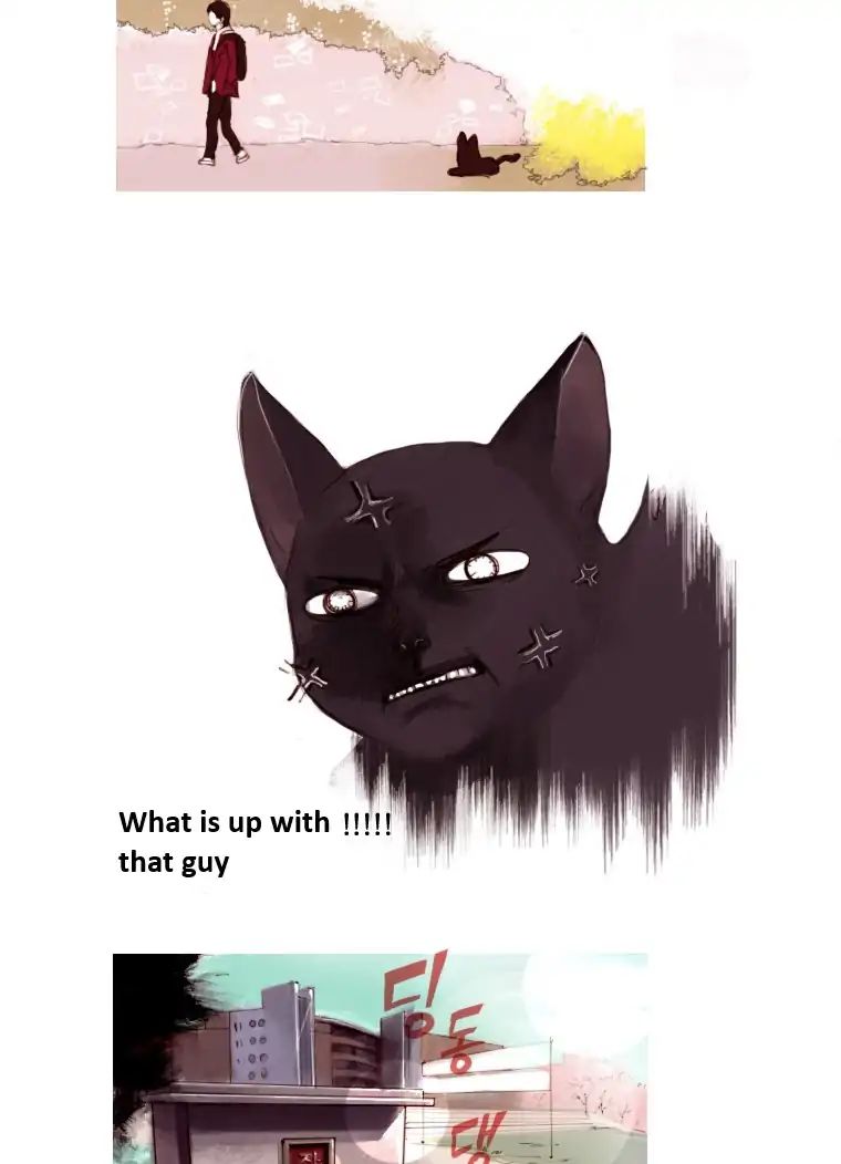 Cat Couple - Chapter 3