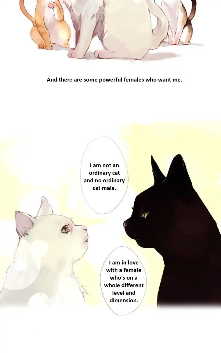 Cat Couple - Chapter 2