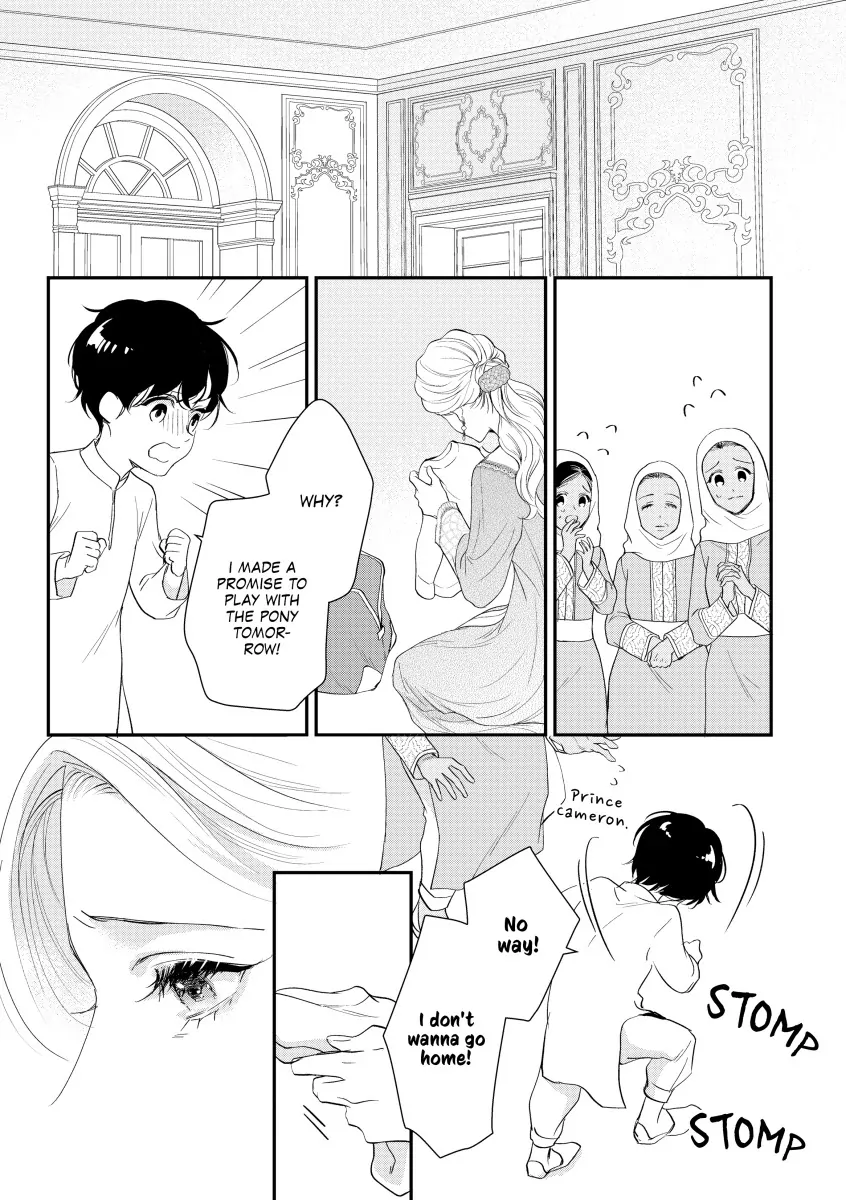 The Sheikh's Royal Announcement - Chapter 11