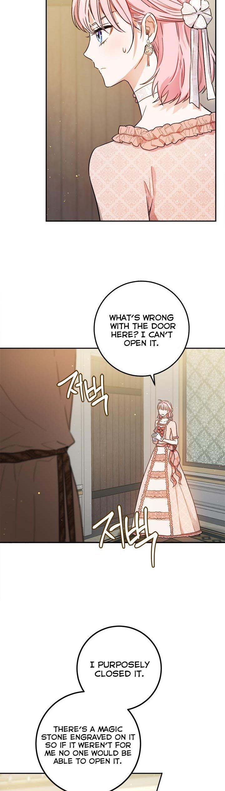 The Princess's Double Life - Chapter 58.5