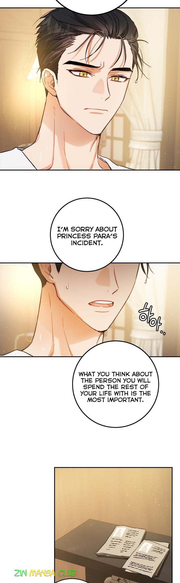 The Princess's Double Life - Chapter 53.5