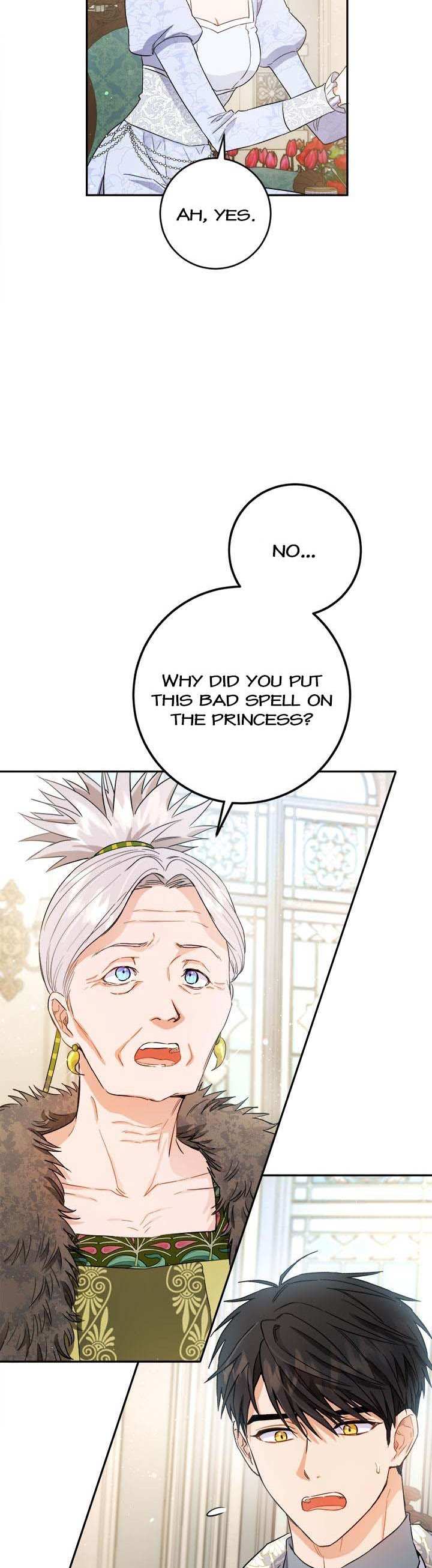 The Princess's Double Life - Chapter 70