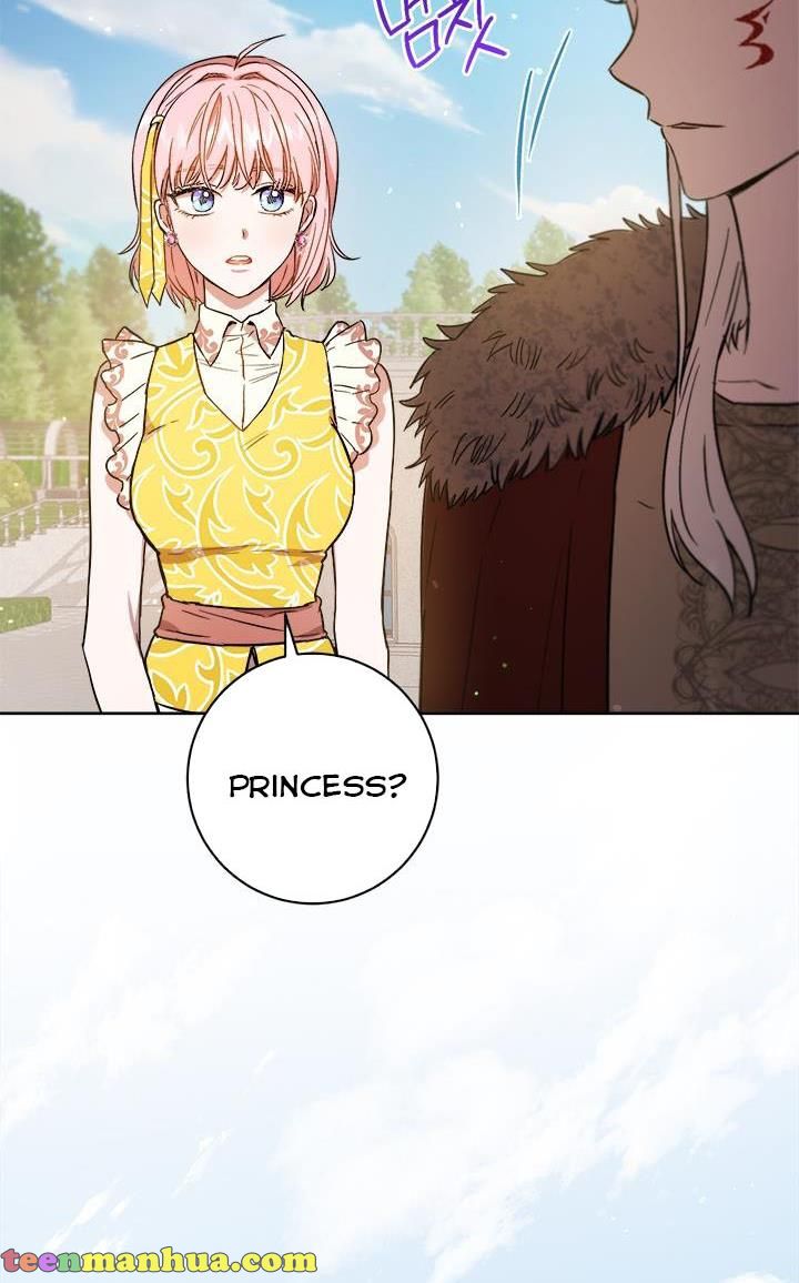 The Princess's Double Life - Chapter 40