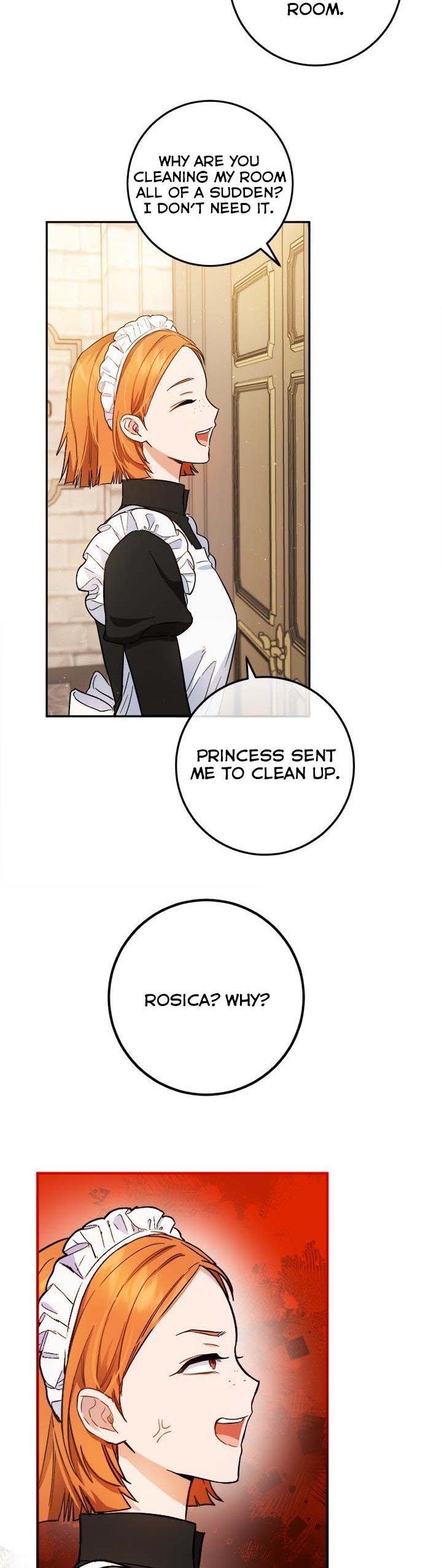 The Princess's Double Life - Chapter 64