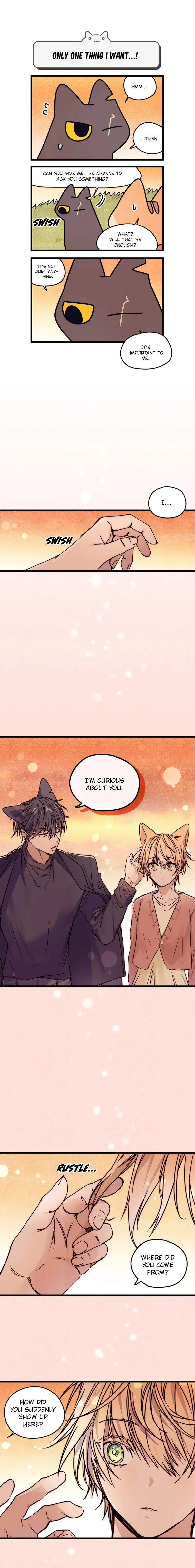 Cats Own The World - Chapter 190