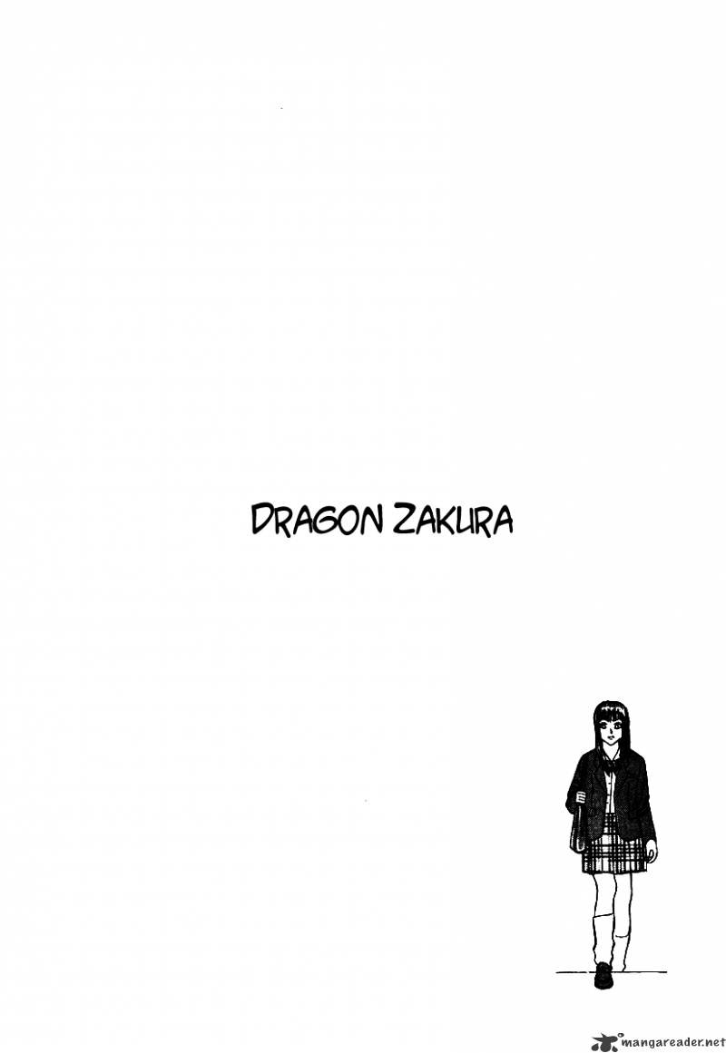 Dragon Zakura - Chapter 2 : Dragon Zakura