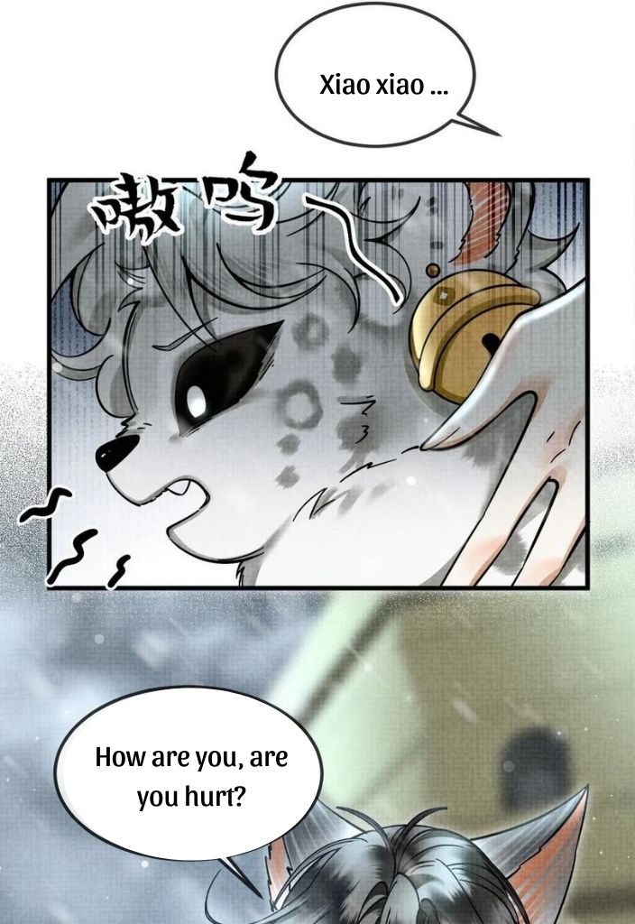 The Tail And Tale Of A Snow Leopard - Chapter 37