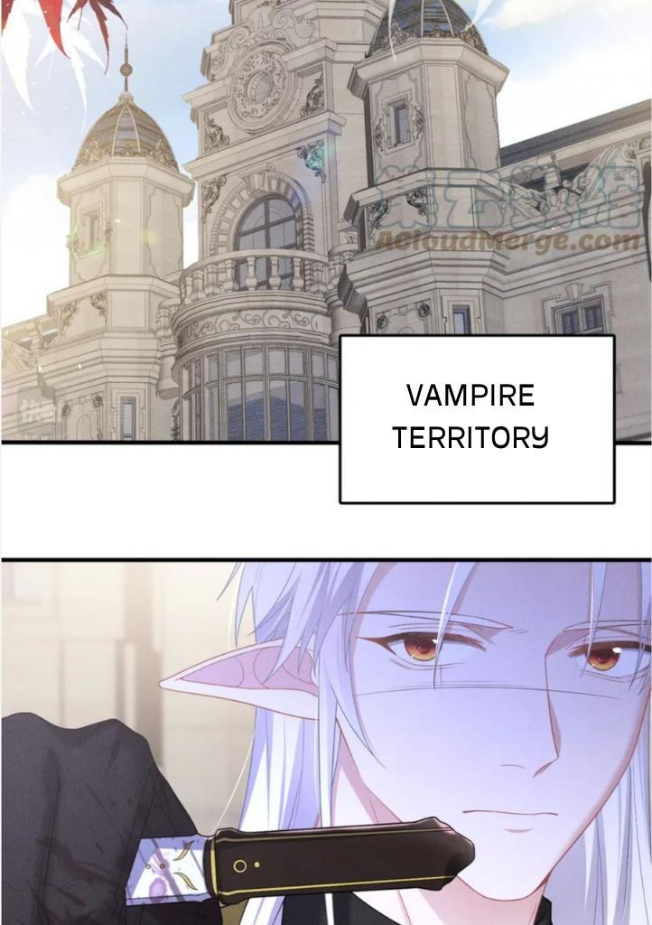 My Vampire Master Wants Revenge On Me - Chapter 67