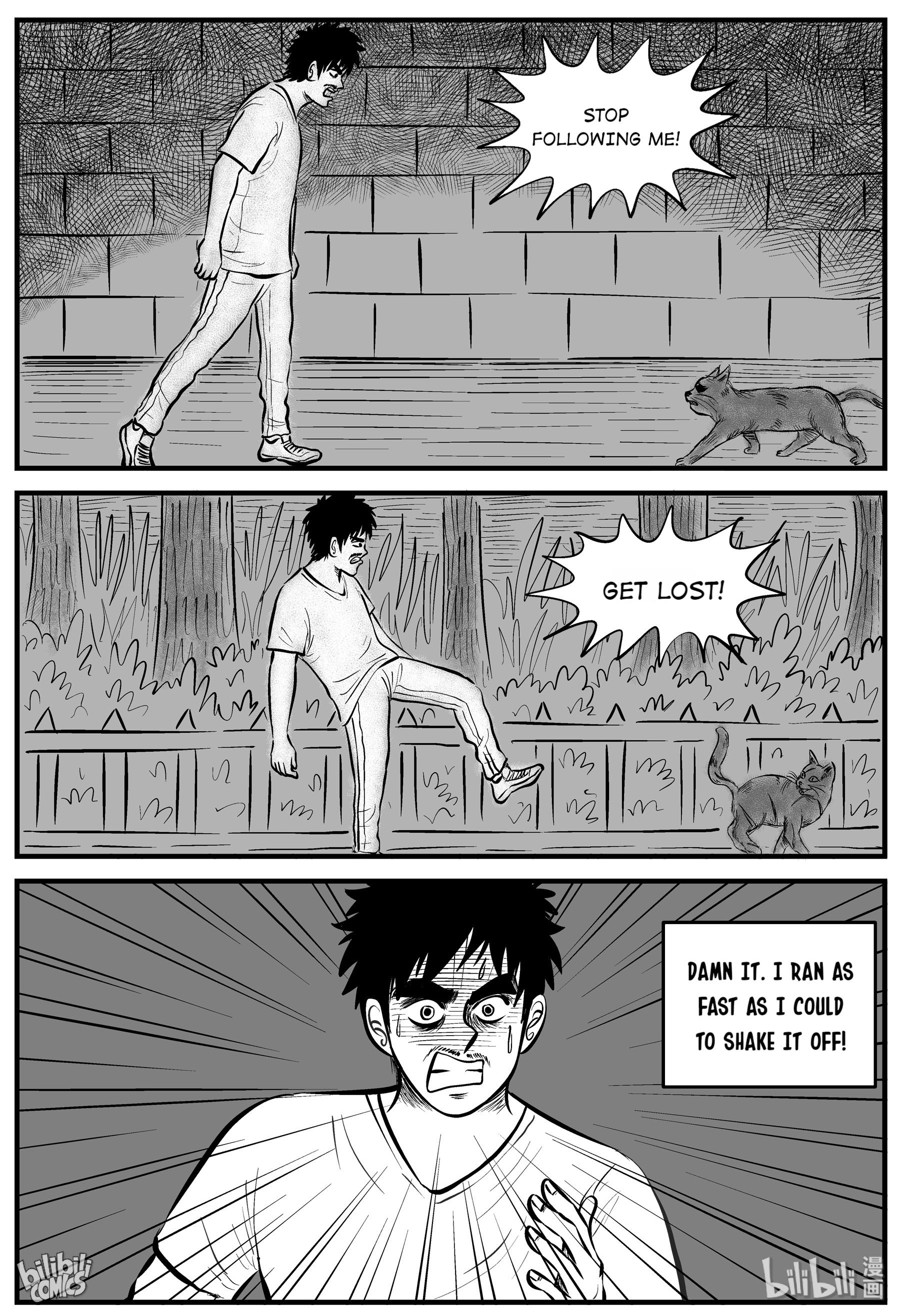 Strange Tales Of Xiao Zhi - Chapter 163: The Cat