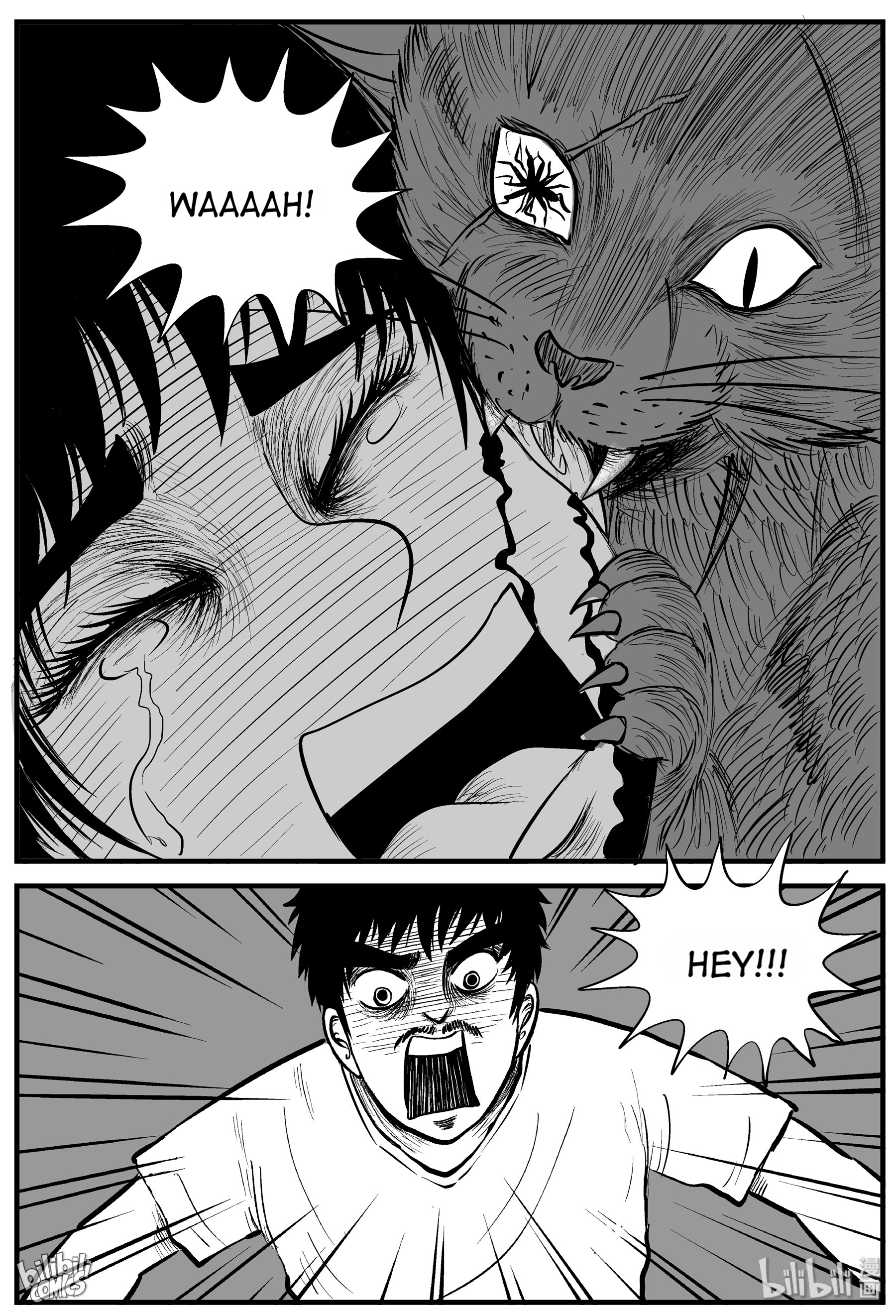 Strange Tales Of Xiao Zhi - Chapter 163: The Cat