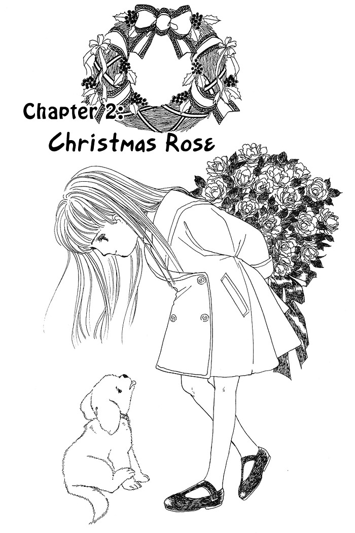 Nemuranai Machi Kara - Chapter 3 : Christmas Rose