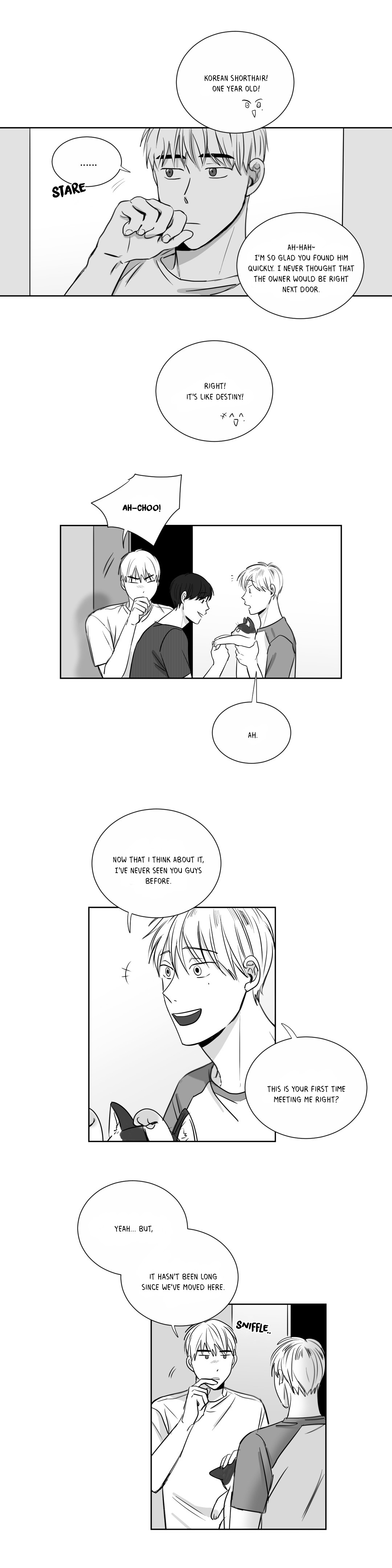 How Much I Like You - Chapter 6