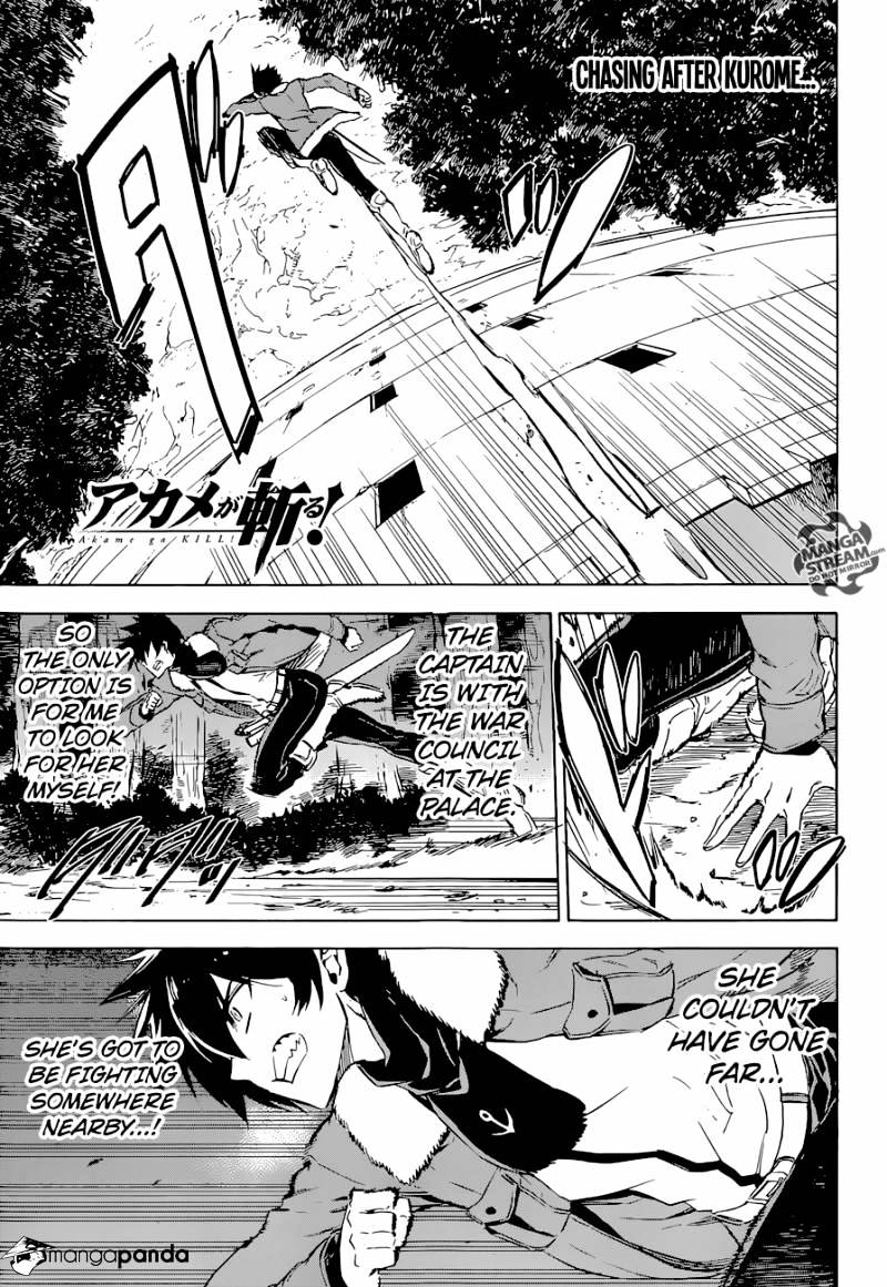 Akame Ga Kill! - Chapter 65 : Kill Your Little Sister