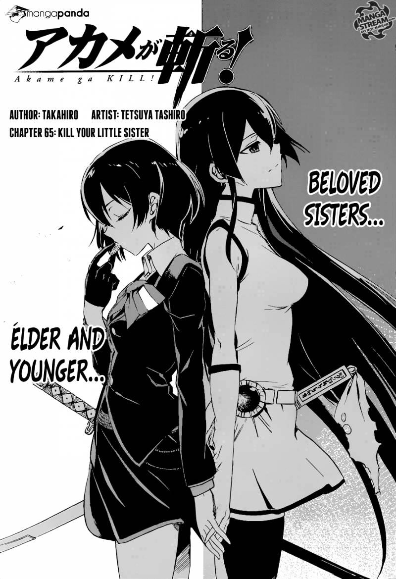 Akame Ga Kill! - Chapter 65 : Kill Your Little Sister