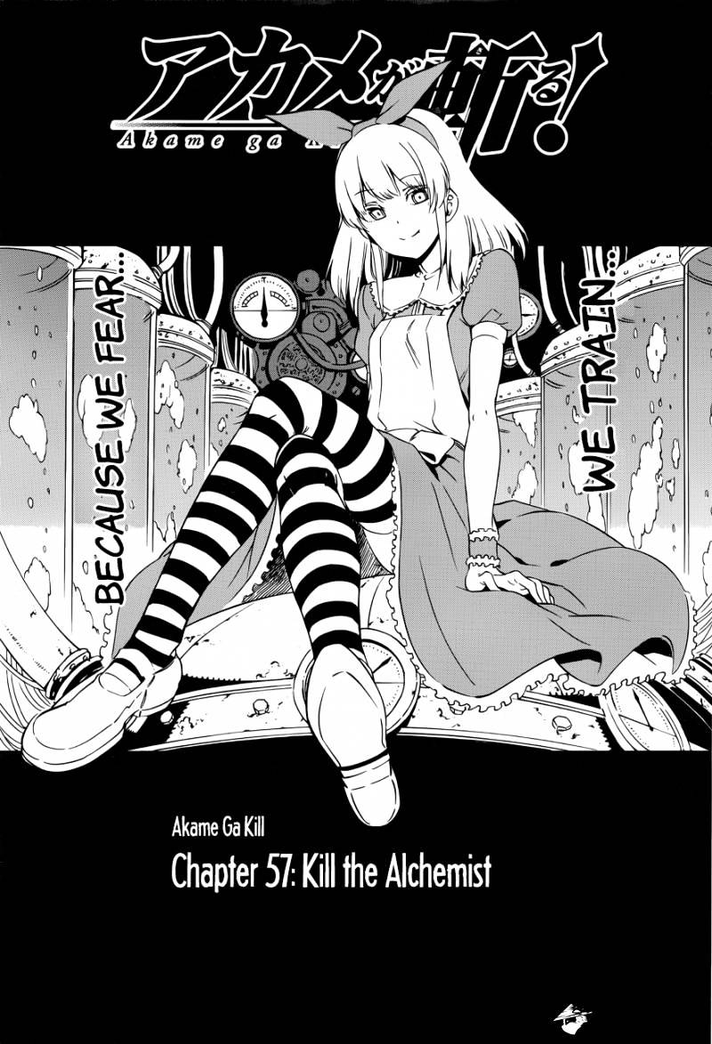 Akame Ga Kill! - Chapter 57 : Kill The Alchemist