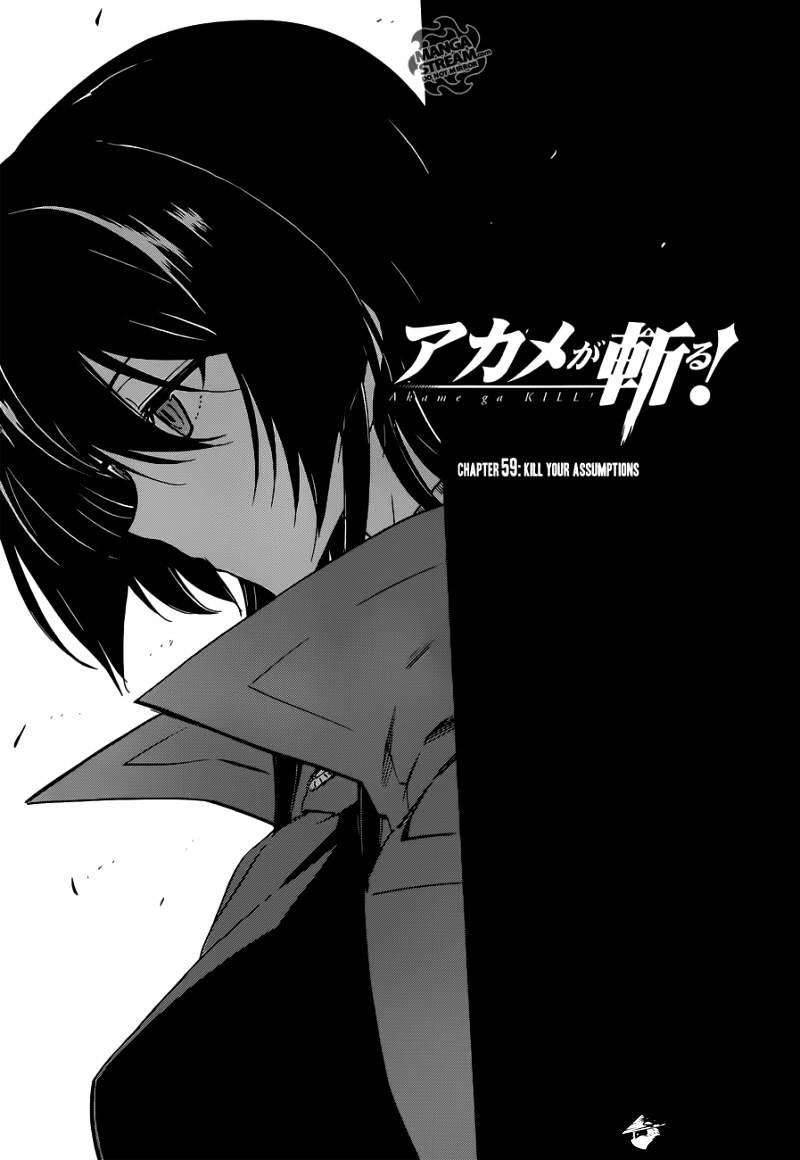 Akame Ga Kill! - Chapter 59 : Kill Your Assumption