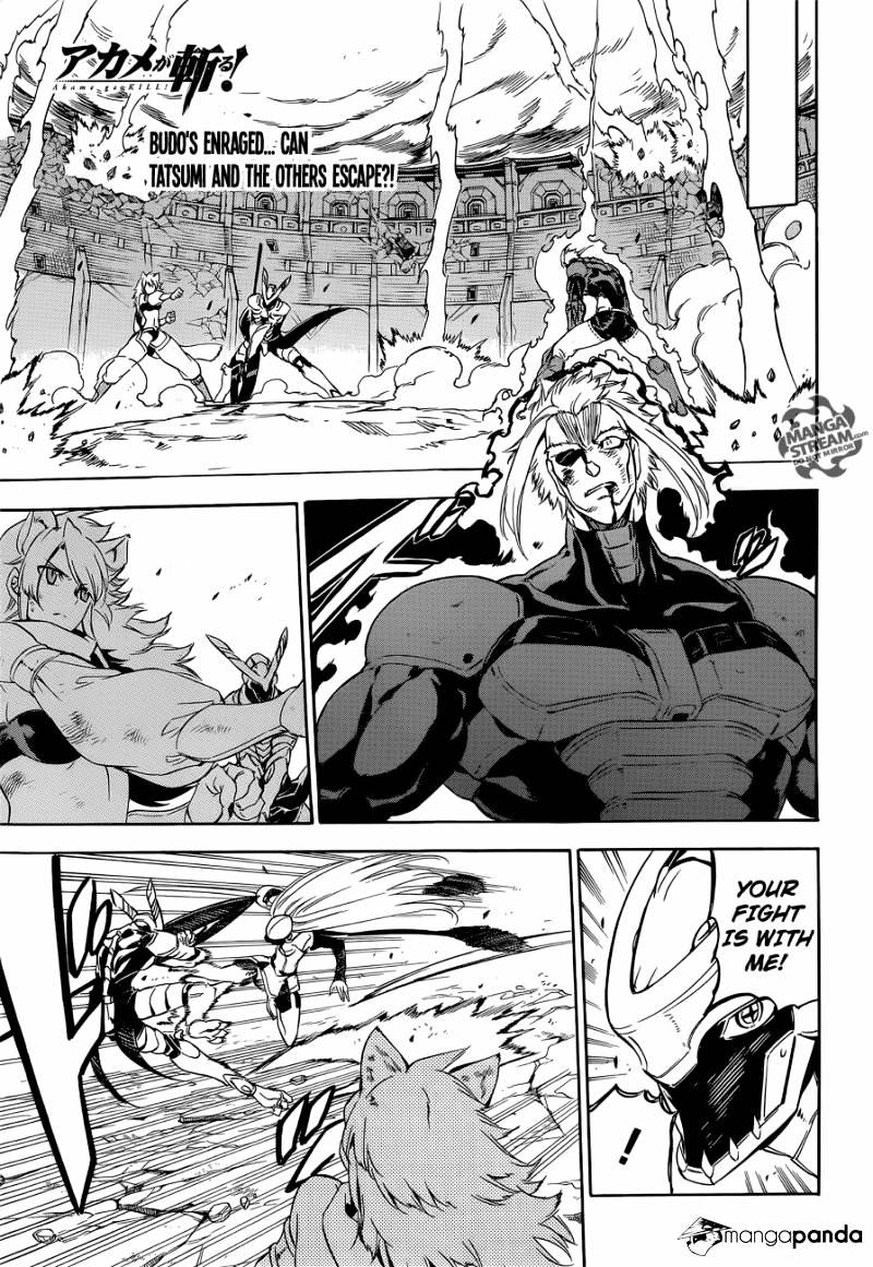 Akame Ga Kill! - Chapter 56 : Kill The Great General