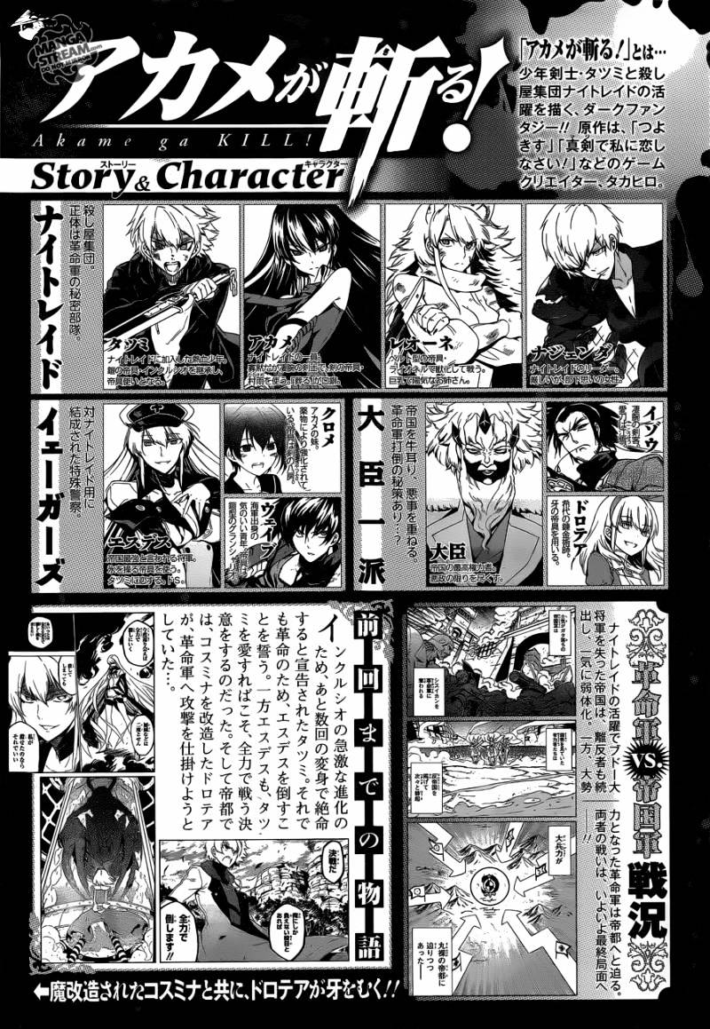 Akame Ga Kill! - Chapter 58 : Kill The Skilled