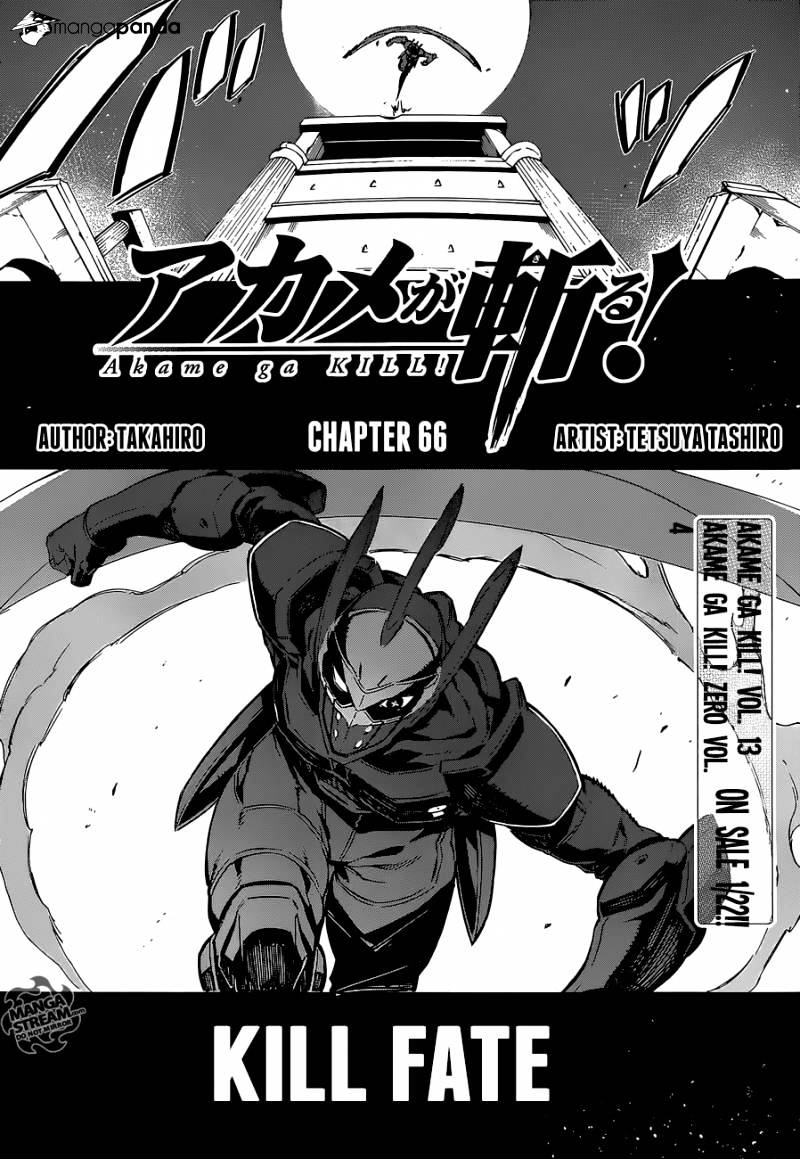 Akame Ga Kill! - Chapter 66 : Kill Fate