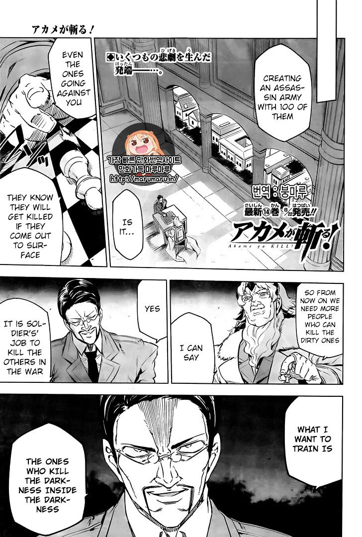 Akame Ga Kill! - Chapter 72 : Cutting The Source