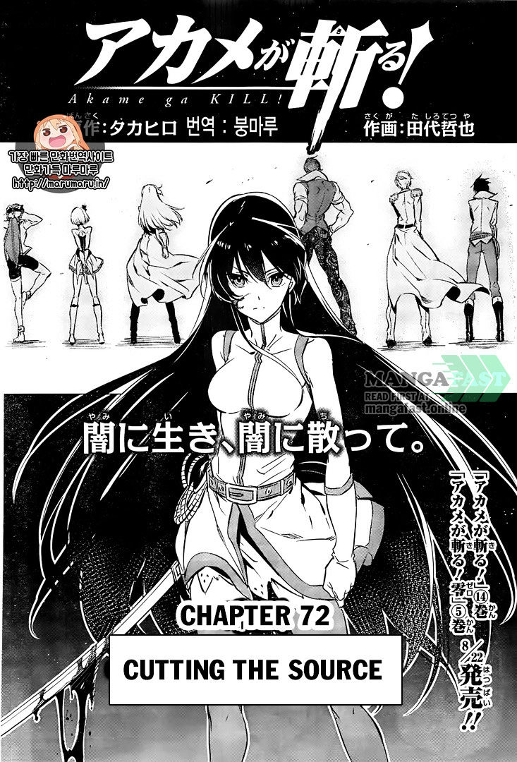 Akame Ga Kill! - Chapter 72 : Cutting The Source