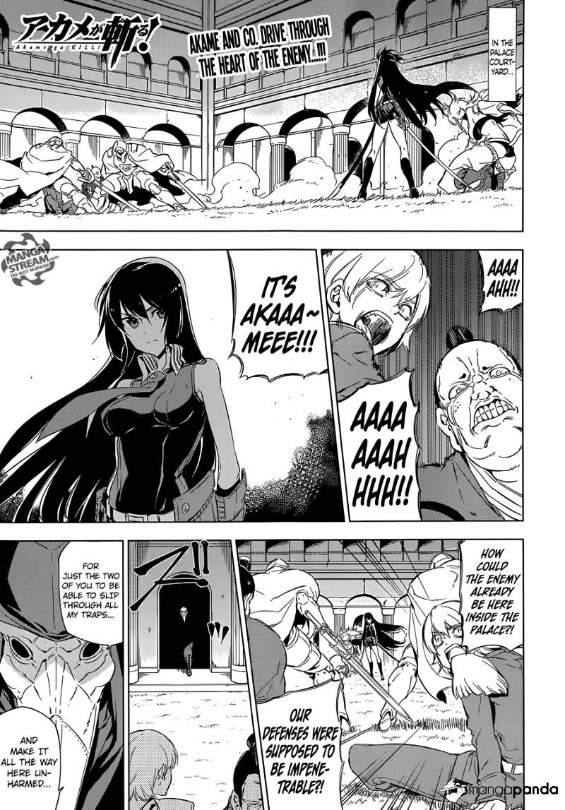 Akame Ga Kill! - Chapter 70 : Kill The Bedlam (Conclusion)