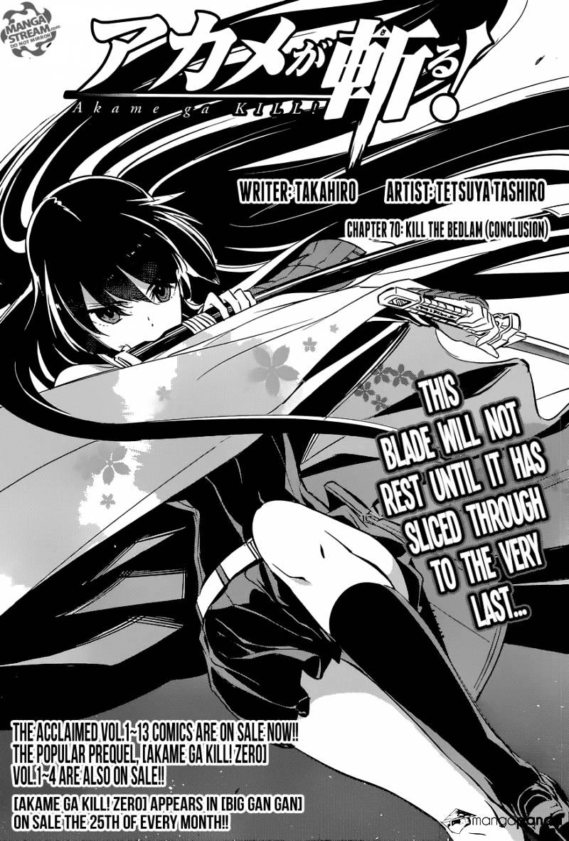 Akame Ga Kill! - Chapter 70 : Kill The Bedlam (Conclusion)