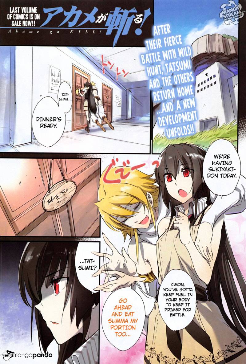 Akame Ga Kill! - Chapter 61 : Kill The Reinforcement