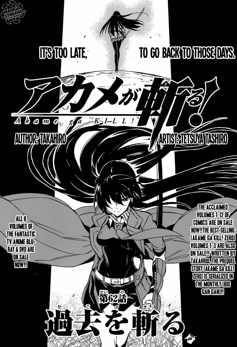 Akame Ga Kill! - Chapter 62 : Kill The Past