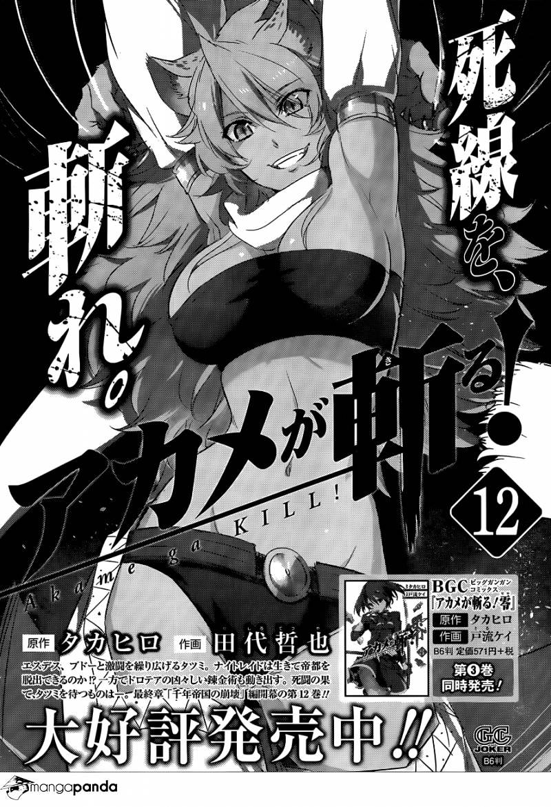 Akame Ga Kill! - Chapter 62 : Kill The Past