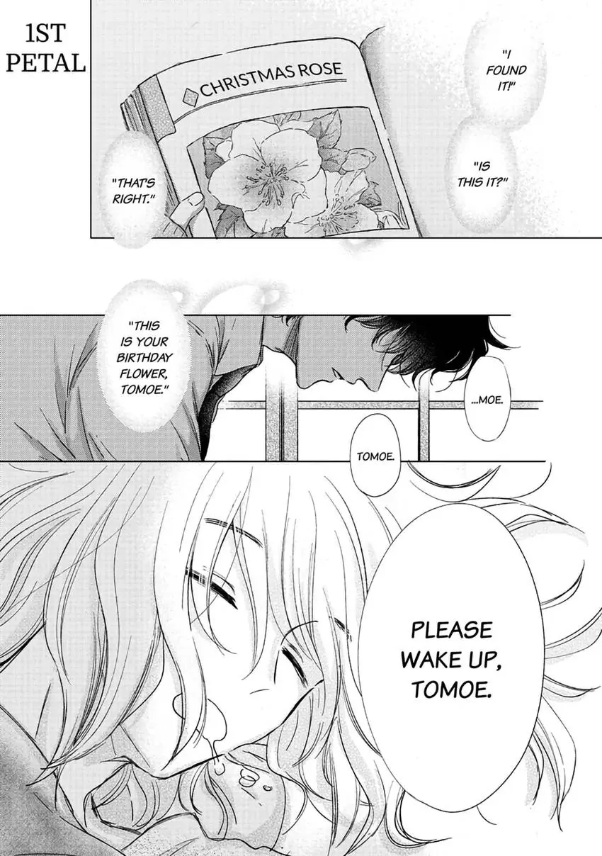 0 Percent Bouquet Of Flowers - Chapter 1