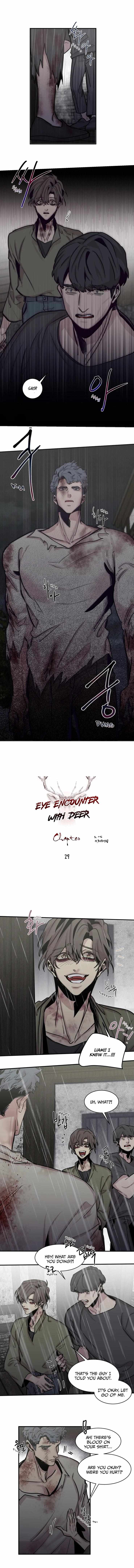 Eye Encounter With The Deer - Chapter 29