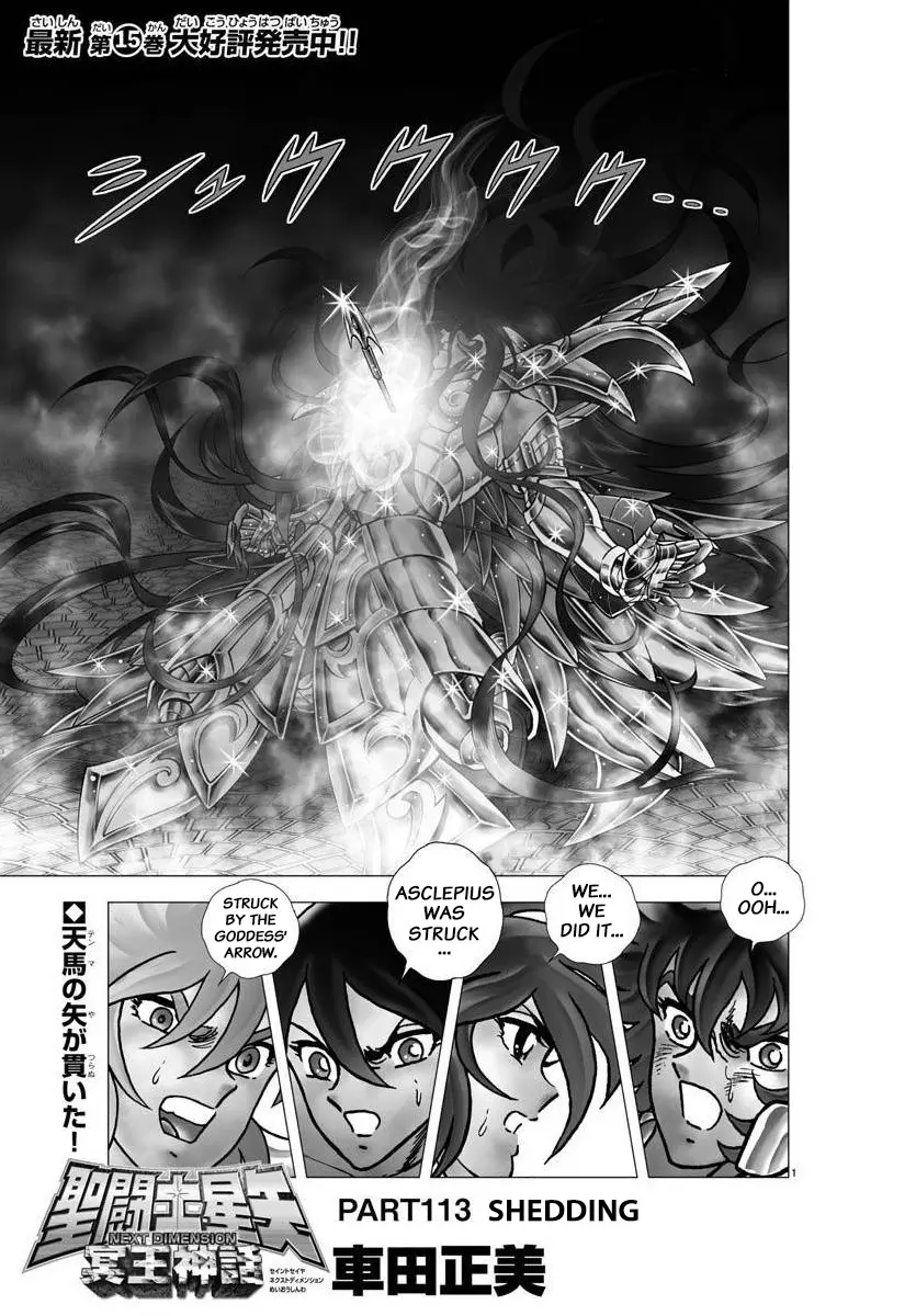 Saint Seiya - Next Dimension - Chapter 113: Shedding