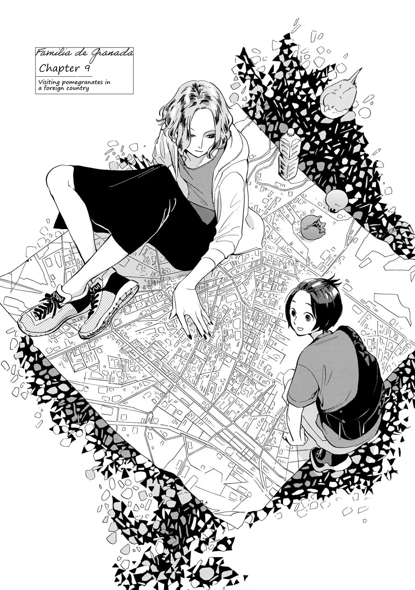 Akanesasu Zakuro No Miyako - Vol.2 Chapter 9: Visiting Pomegranates In A Foreign Country