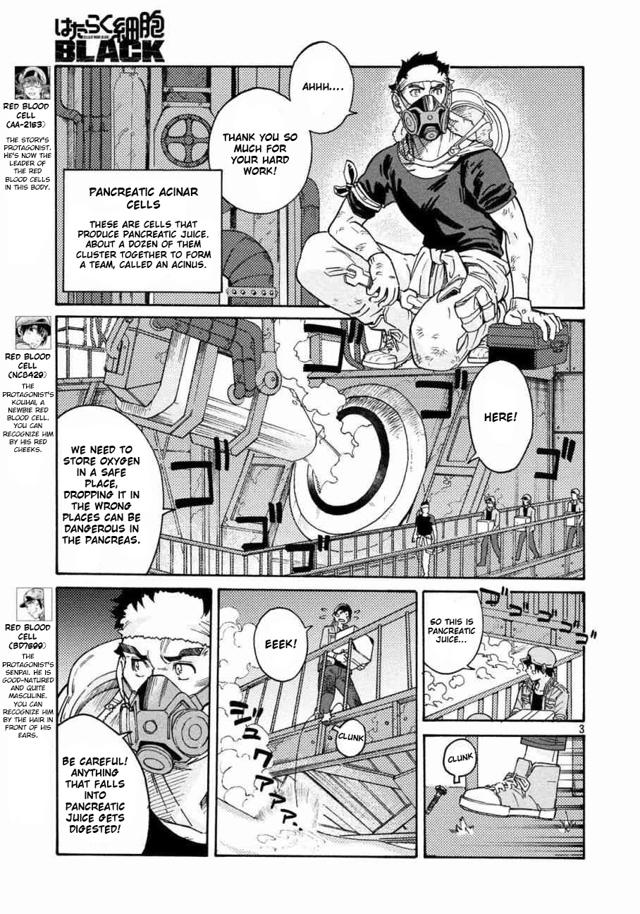 Hataraku Saibou Black - Chapter 28: Pancreas, Fraud, Inferno