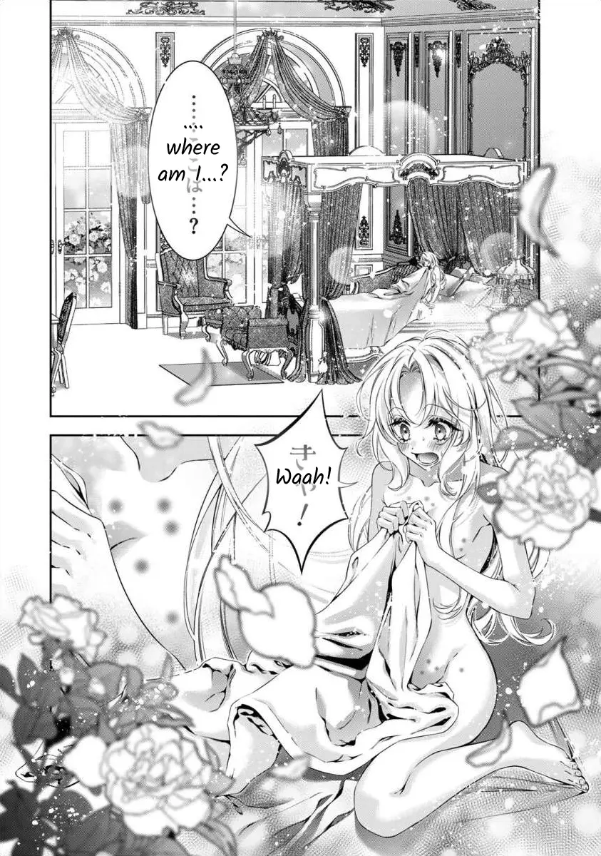 The Substitute Bride Is Captured By The Yandere Lord - Vol.1 Chapter 3: The Days They Compared Me To My Sister