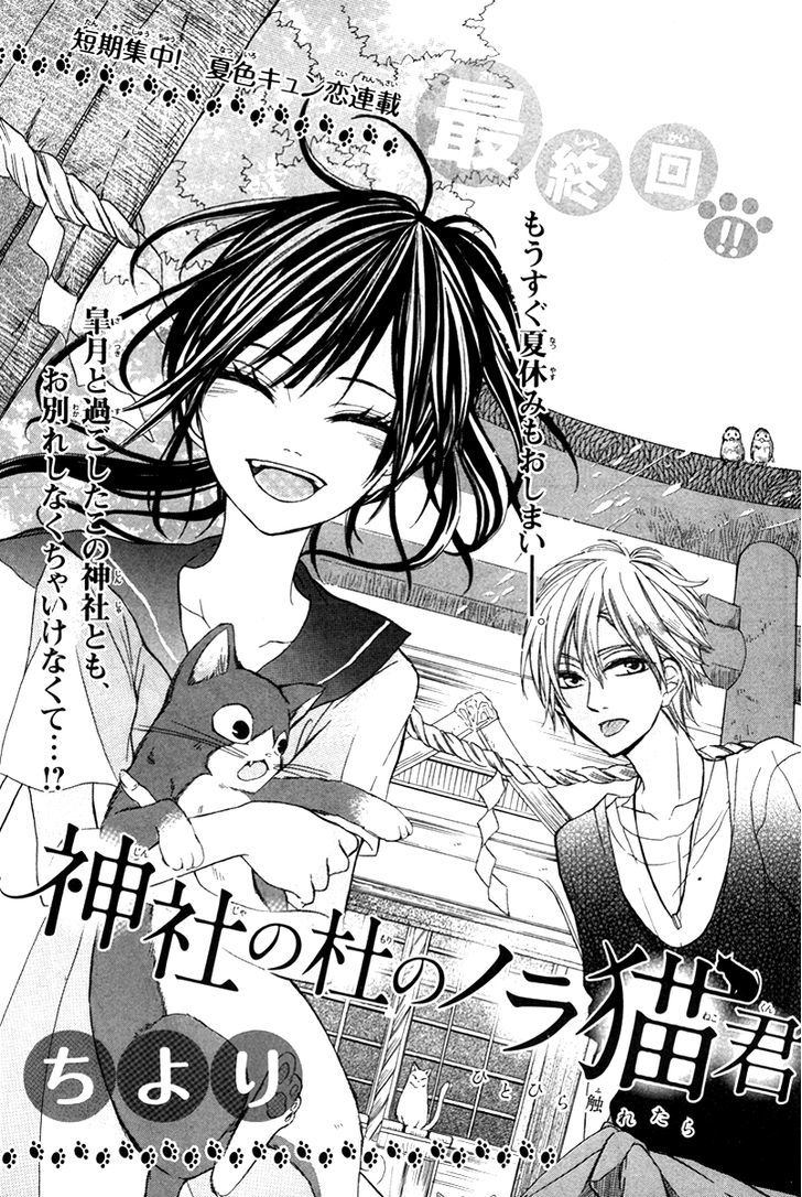 Jinja No Mori No Nora Neko-Kun - Vol.1 Chapter 3