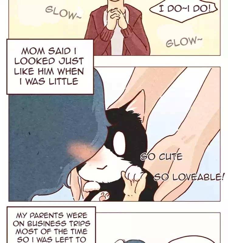 Hey, Your Cat Ears Are Showing! - Chapter 20.5: My Brother Is Super Cute!