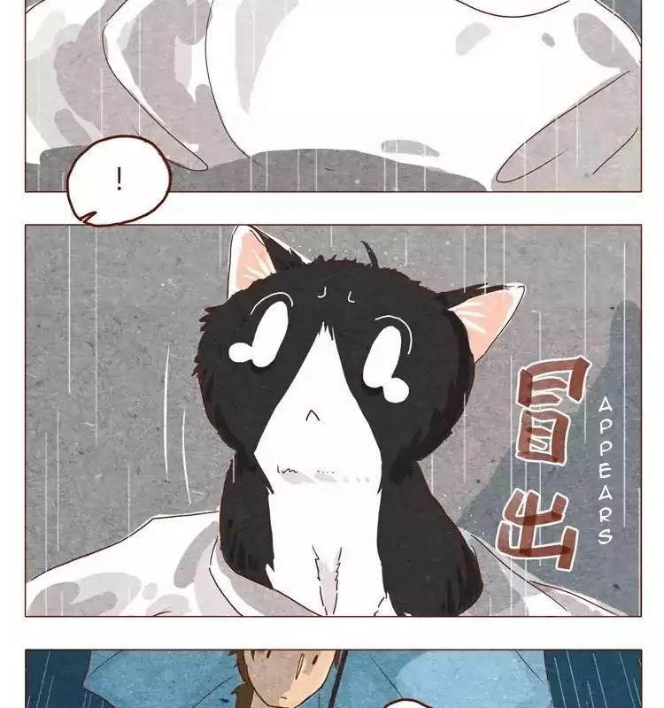 Hey, Your Cat Ears Are Showing! - Chapter 15.5