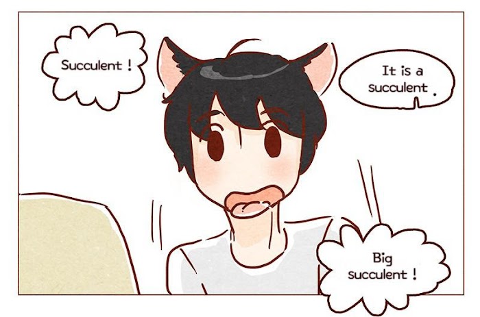 Hey, Your Cat Ears Are Showing! - Chapter 77