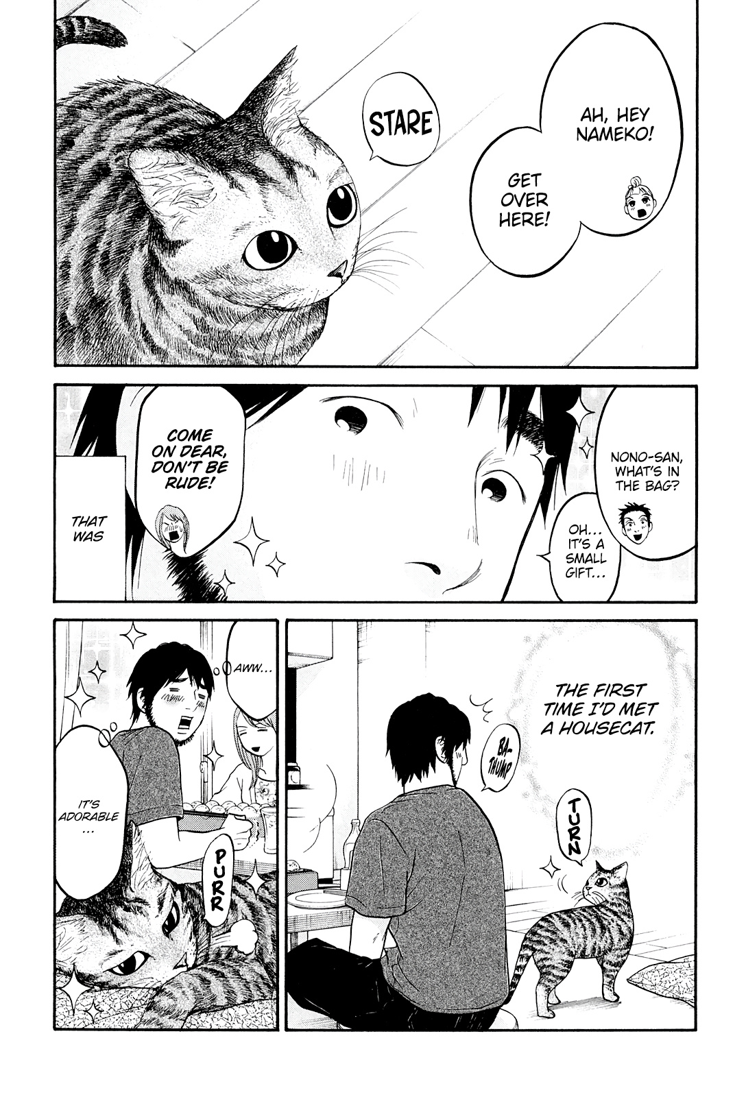 Living, Eating And Sleeping Together - Vol.5 Chapter 22: Non-Chan Wants A Cat