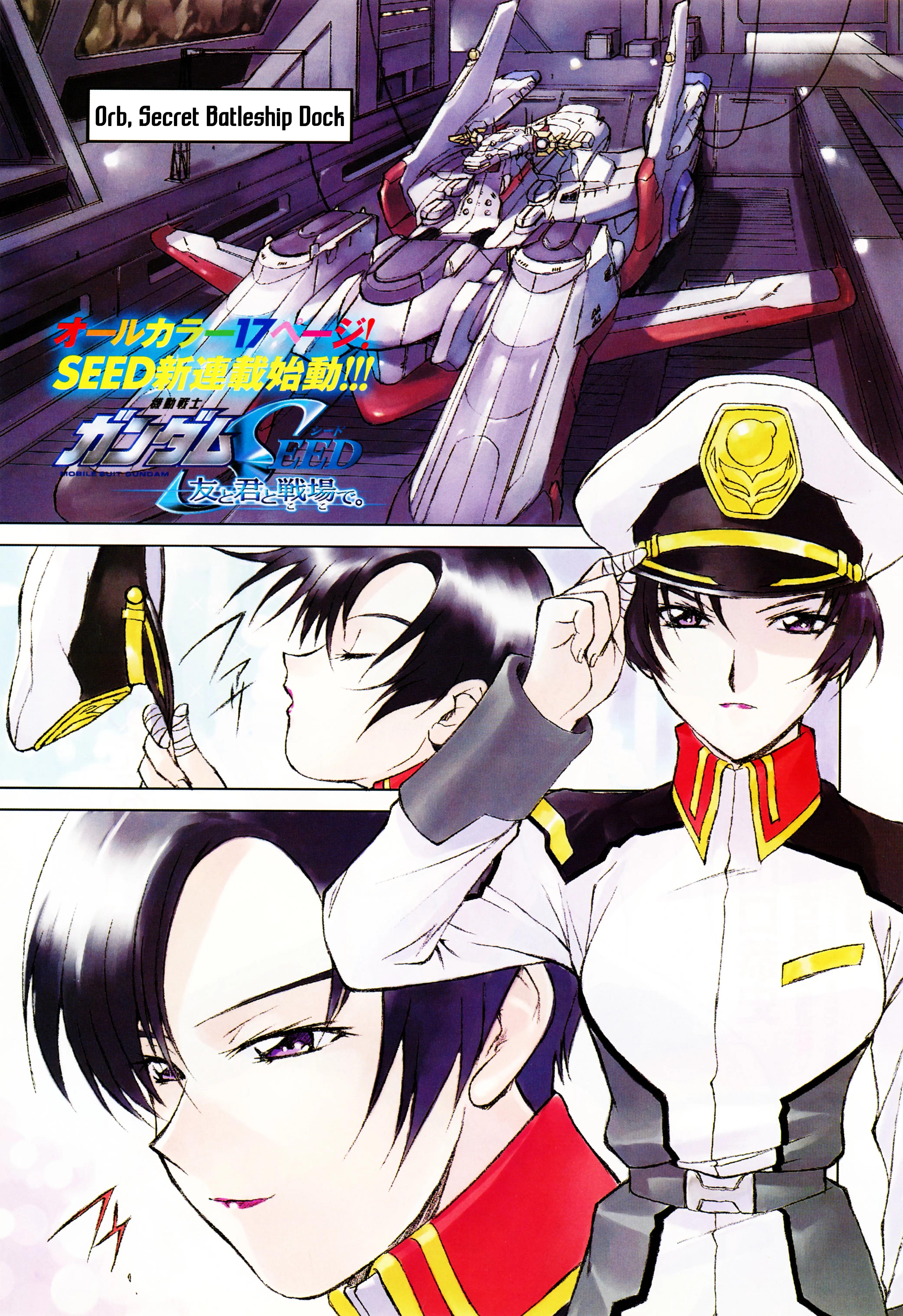 Mobile Suit Gundam Seed - On The Battlefield With You - Chapter 1: If:1: Natarle's Tears