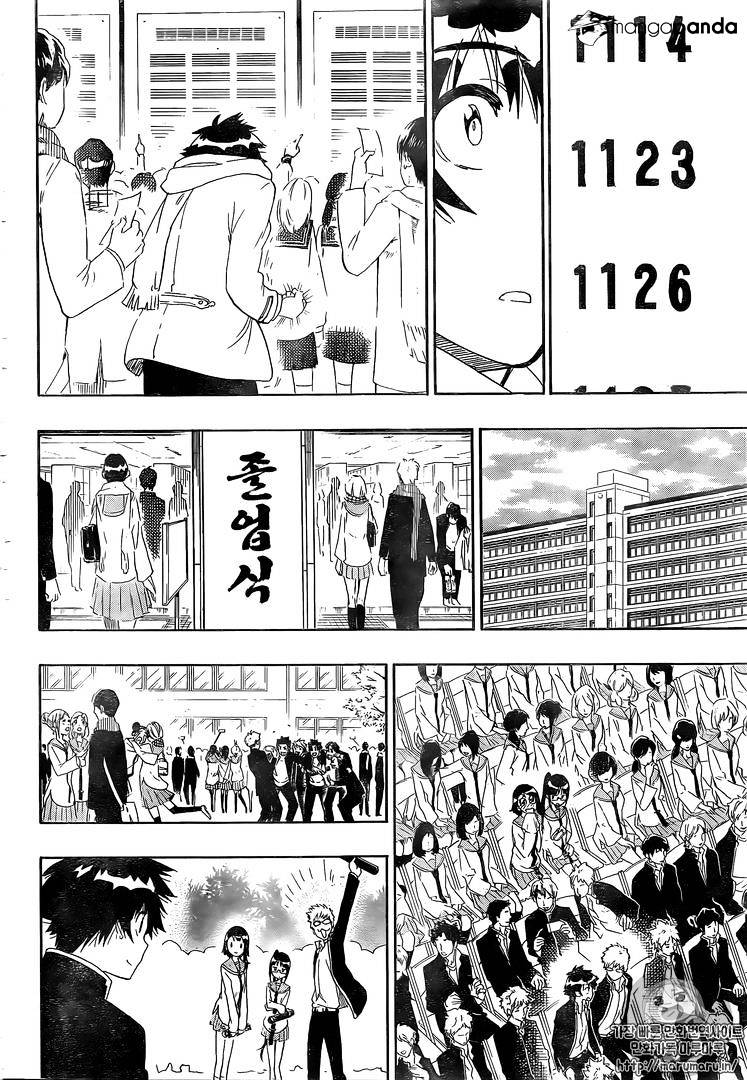 Nisekoi - Chapter 228