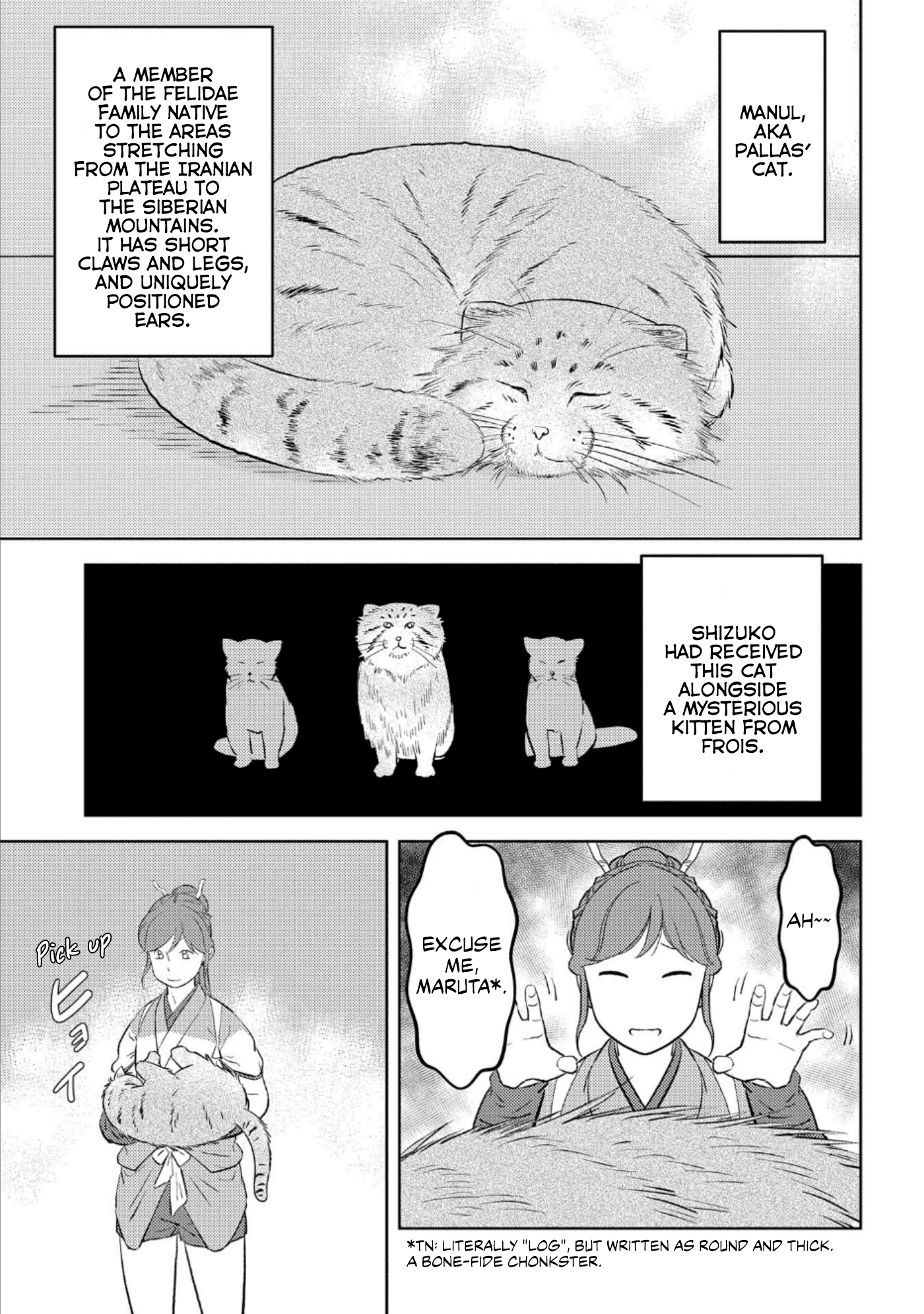 Sengoku Komachi Kurou Tan! - Chapter 57: Bliss