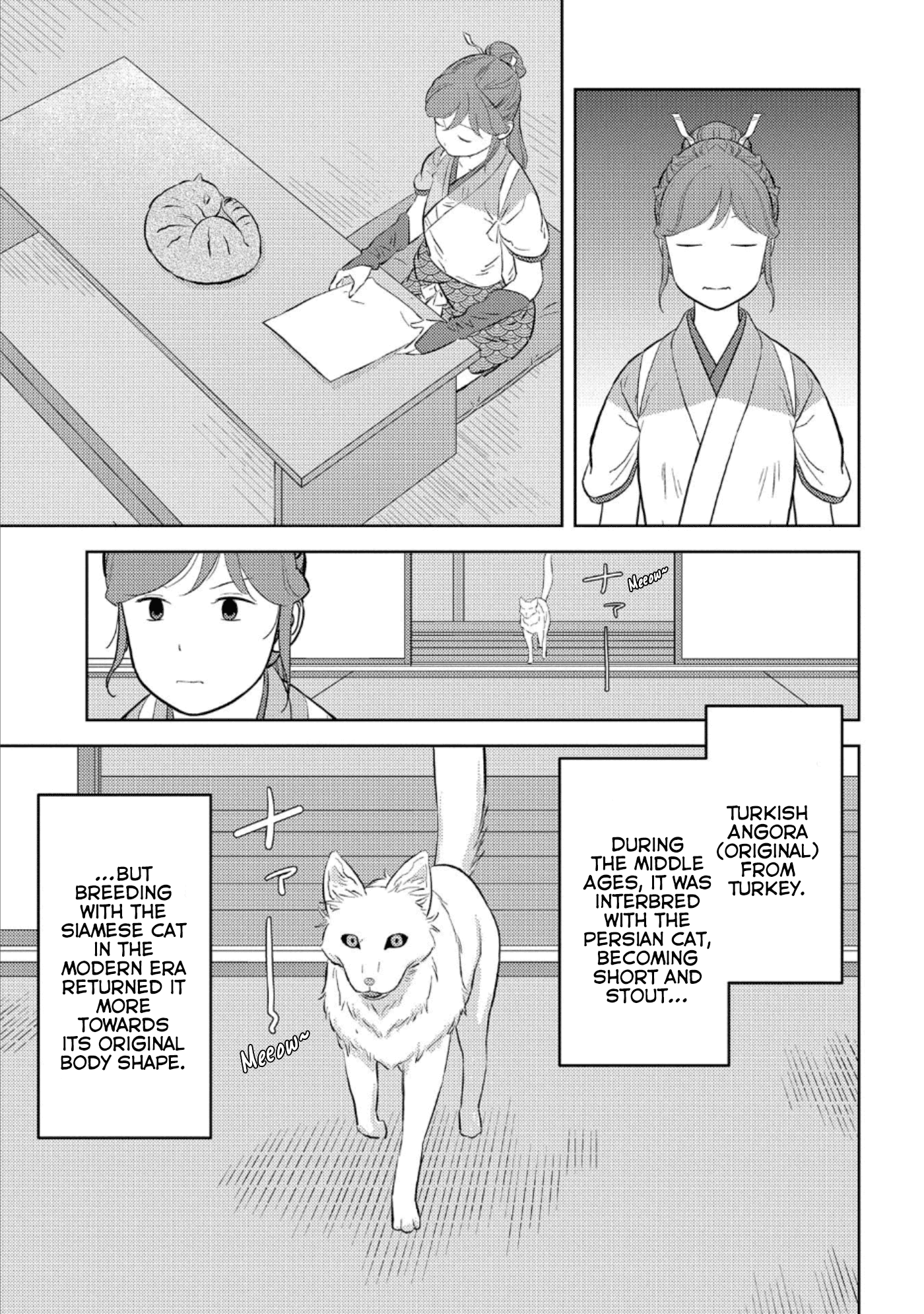 Sengoku Komachi Kurou Tan! - Chapter 57: Bliss