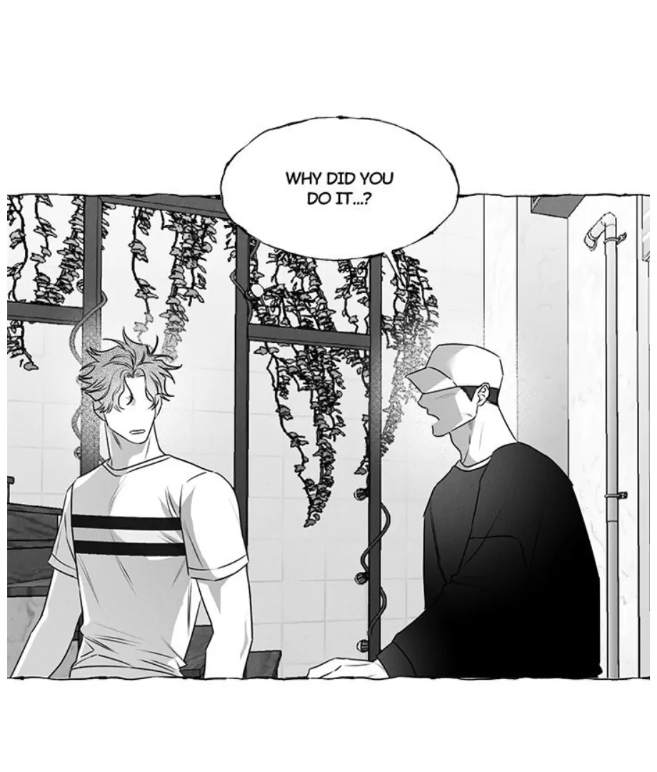 Butterfly Trap - Chapter 37