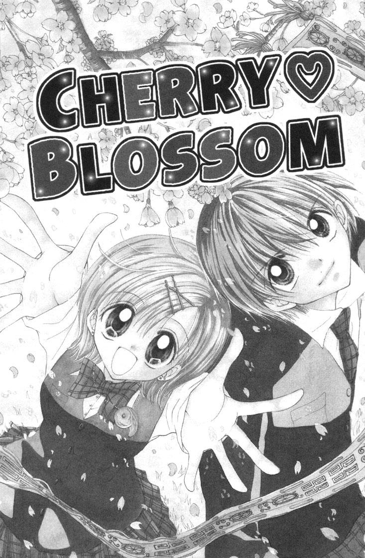 Mermaid Melody Pichi Pichi Pitch - Vol.7 Chapter 30.6: Cherry ♡ Blossom